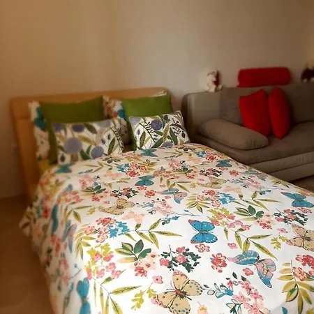 Kamelia Studio Appartement *