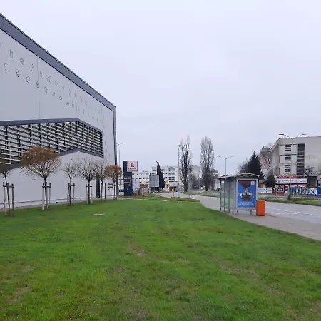 Kamelia Studio